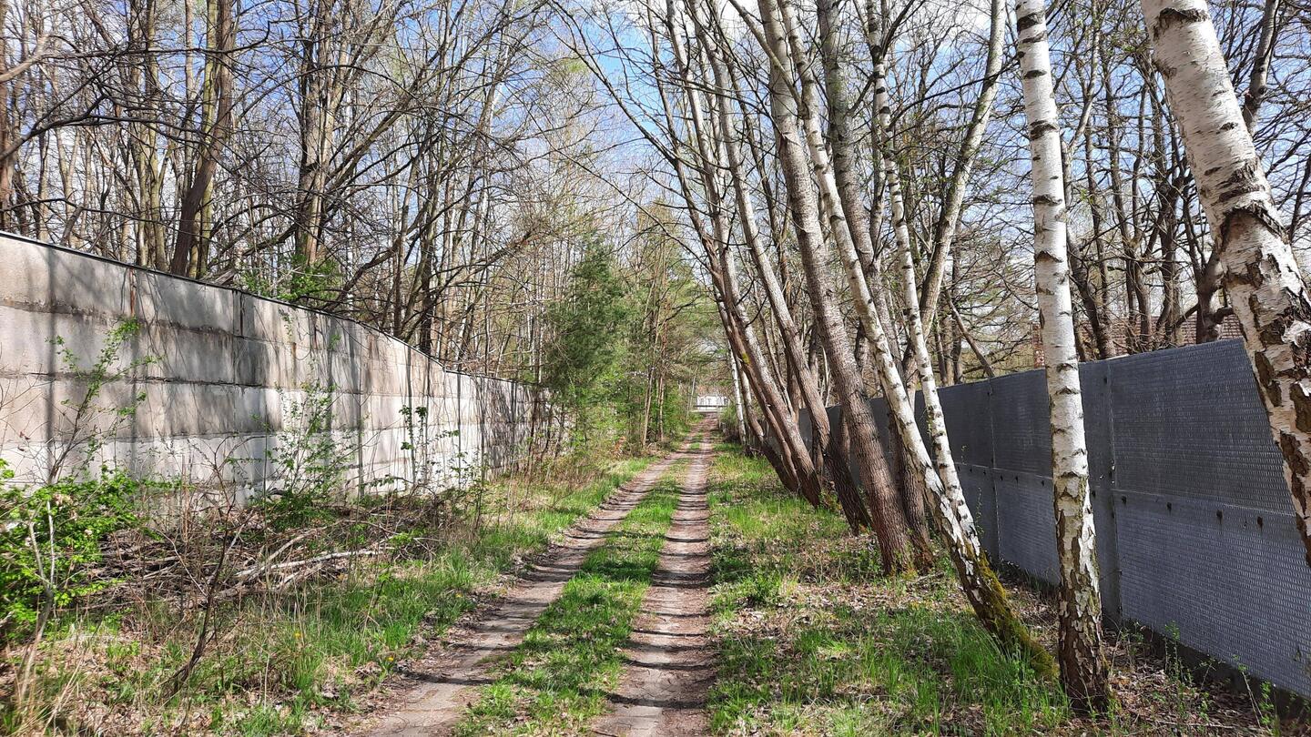 Kolonnenweg, links Mauer, rechts Streckgitterzaun