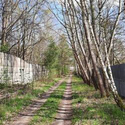 Kolonnenweg, links Mauer, rechts Streckgitterzaun