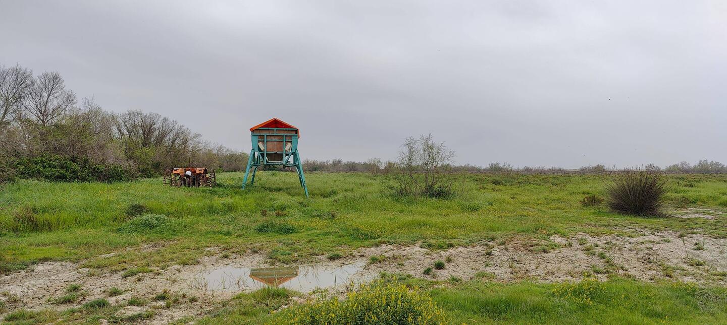 Aus dem Auge, aus dem Sinn?