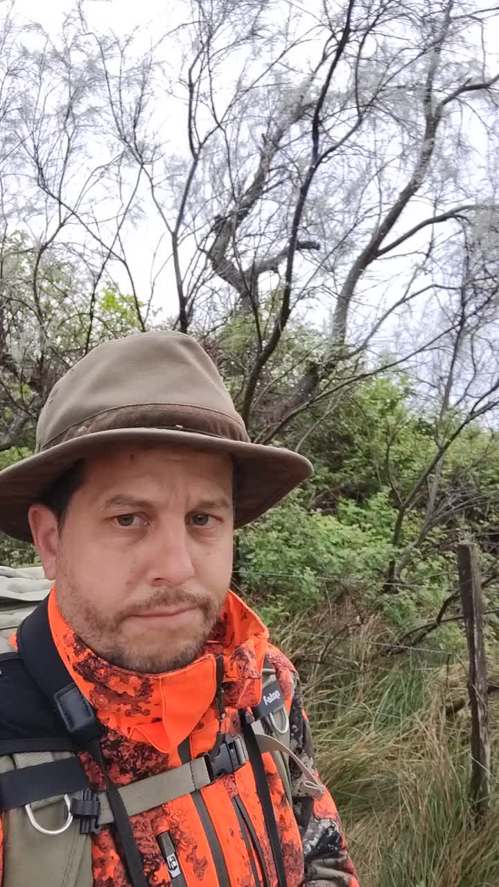 Mücken.....nichts als Mücken