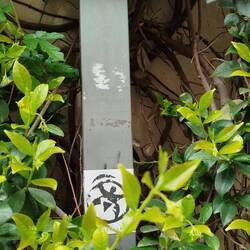 Wie soll ich das verstehen