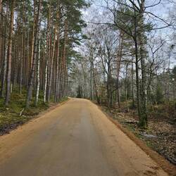 Gerade neu gemachter Weg der R10