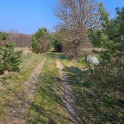 Aber hier kann man fahren.