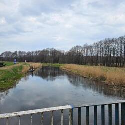 Paddeln könnte man hier auch!