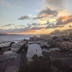 We had nice views of the harbor from our 10th story room