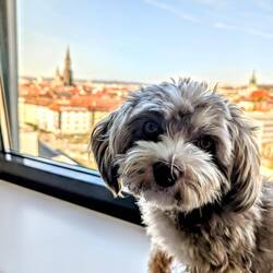 View from hotel room in Ulm