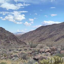 Anza Borrego State Park