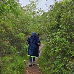 This is fun, really!