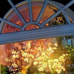Schönes Schaufenster