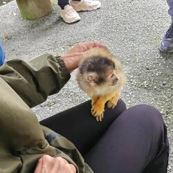 Liz with a squirrel monkey.
