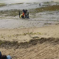 Las Marisceiras - die Muschelsammlerinnen