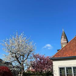 Amstelhoek
