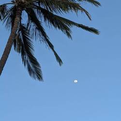 Mahalo, war schön hier. 🥰