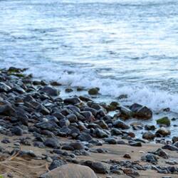 Die abendlichen Besuche werden wir vermissen. 🐢💚