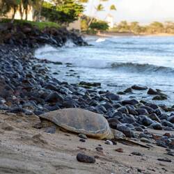 ... Lieber schnell zurück zur Unterkunft. Da ist entspannter😎