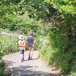 The boys on the path to the end of the park.
