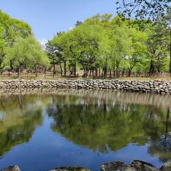 Pond at Oreung Royal Tombs