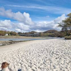 Gerade ist der Hogwarts-Express auf der Rückfahrt