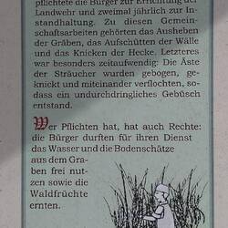 In der Gegenwart heißt soetwas z.B. Benjeshecke ... komplett modern !