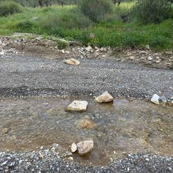 Five crossings, all easy