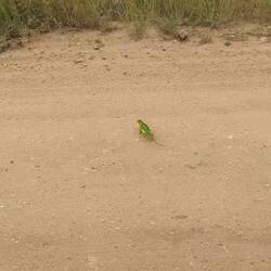 This was not filmed in slow motion