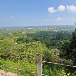 View from top of steps