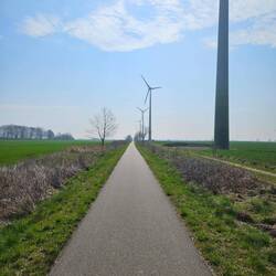 Gegen den Wind