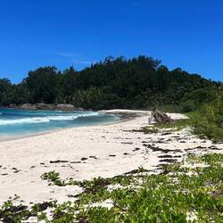 Sehr verlassene Police Bay