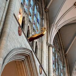 The unexplained dragon