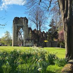 Abbey remains