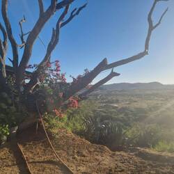 Endlich angekommen in Elisenheim.. Familytime ❤️