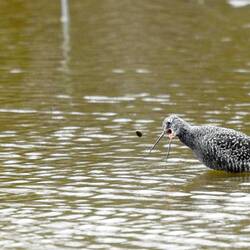 ...wohl etwas zu voll