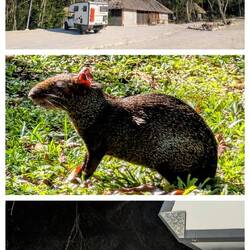 Übernachtung Ausgrabungsstätte Calakmul
