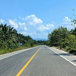 Auf den Weg nach Palenque