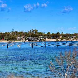 Coffin Bay oyster leases