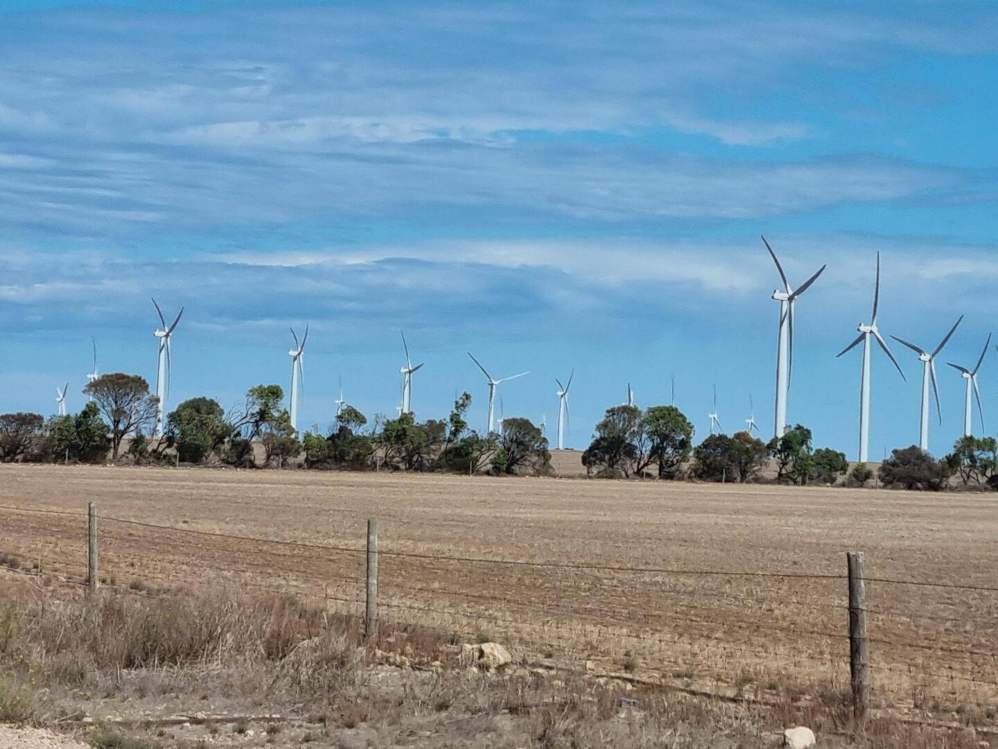 Many were not working