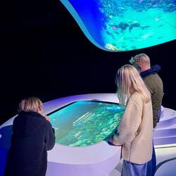 Den portugisiske pavillon