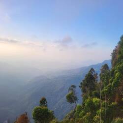 Die Aussicht vom eigentlichen Ella Rock war zwar ganz nett...