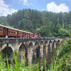 Die bekannte Nine-Arches-Brücke zieht so viele Touristen an, wie wir Blutegel