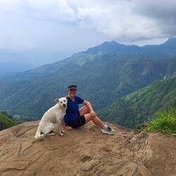 Der sehr fotogene Hund gesellte sich spontan zu Isabell, weil er auch auf FindPenguins wollte