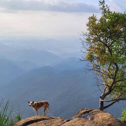 Dieser ebenfalls sehr fotogene Hund begleitete uns ein Stück nach oben