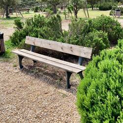 Bank umgeben von Thymian