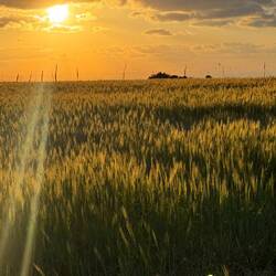 Sonnenuntergang in Ampelos