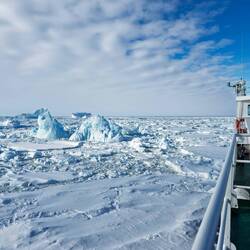 Yes, that's the frozen-in-the-pack iceberg we spotted from our cabin window — Queen Maud Land.