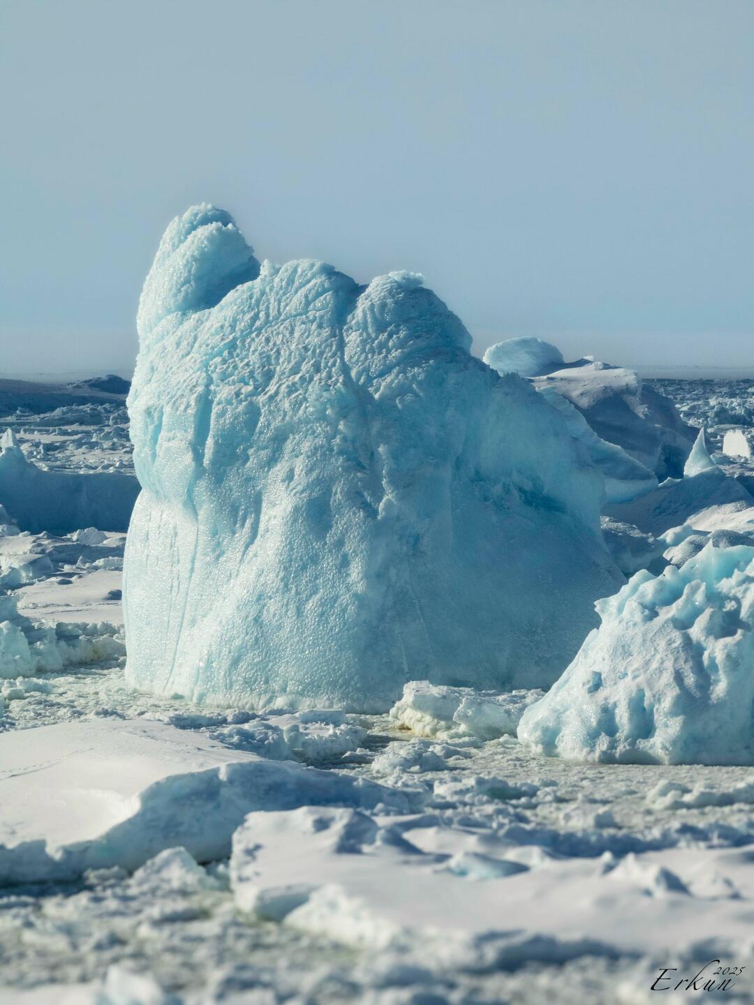 The noise of plowing through the ice and this scenery from our window propelled us out of bed.
