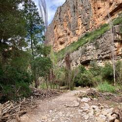 Viel Schwemmholz am Rande des Weges