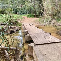 die Bretter über den Steg sind wieder da