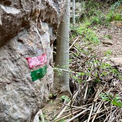 Der Weg ist gut markiert