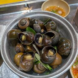 Trying snails (didn't taste like anything)