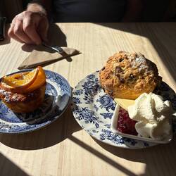 Delicious - Tarras Cafe